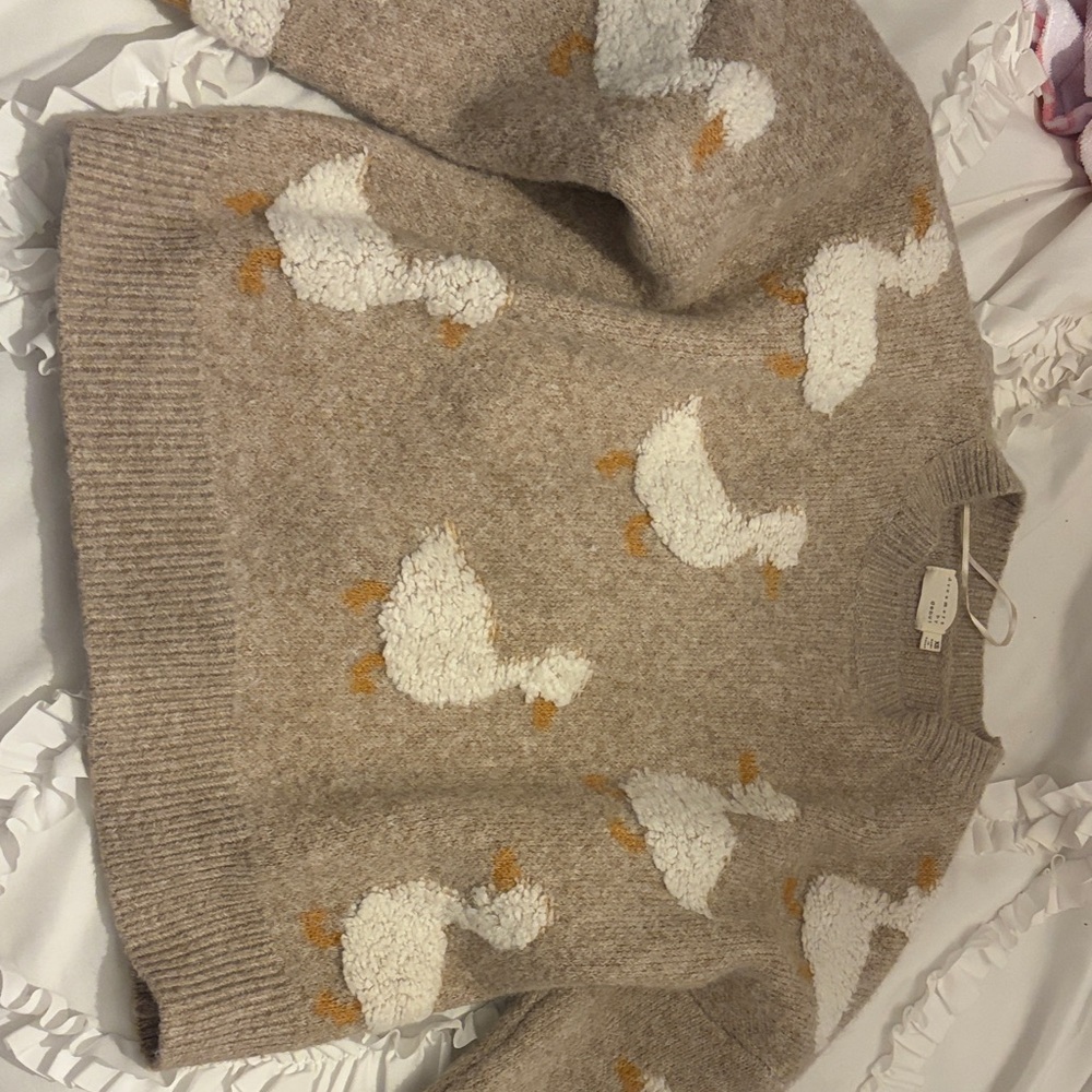 Charming Beige Sweater with Duck Design
